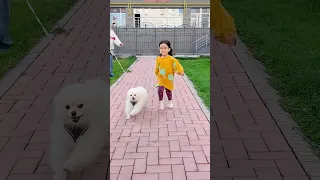 لماذا الكلاب أصدقاؤنا قصة للأطفال 