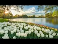 Download Lagu Музыка, которая лечит сердце и душу — просто слушайте и отдыхайте | Сергей Грищук