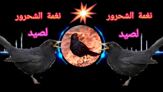 نغمة الشحرور لصيد ٢٠٢٢ 