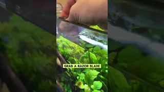 How To Clean With RAZORS 