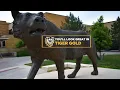 You ll Look Great In Tiger Gold