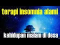 Download Lagu Suara syahdu binatang malam pedesaan untuk rileksasi atau terapi pengantar tidur #2