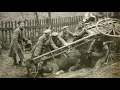 1914 - C'est Mon Dernier Pigeon
