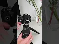 Download Lagu HOW TO TAKE AMAZING MACRO PHOTOS on a budget using macro extension tubes.