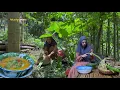 Download Lagu Masak lompong santan pedas , ikan asin goreng, nikmat luar biasa, masakan desa 
