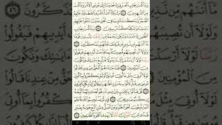 ماهر المعيقلي سورة القصص مكتوبة صفحة 391 مصحف المدينة المنورة جودة عالية 