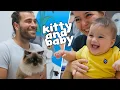 Download Lagu Kucing yang Lucu, Tenang, dan Cantik! (Dan Karyawan Baru Kami yang Mengejutkan!)