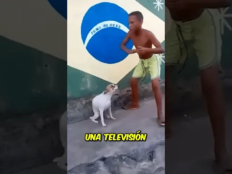 La vez que pensé que había ganado un concurso sin participar