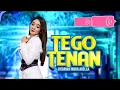 Download Lagu TEGO TENAN - DIFARINA INDRA | ENJOY MUSIC