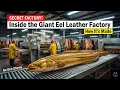 Inside the Giant Eel Leather Factory From Slippery Skin to Premium Luxury Material