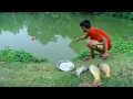 Download Lagu Fishing Video || We should learn all the fishing techniques from our little Brother The more I see ​