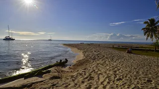 Sailing AWEN Live Stream