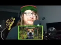 Set Your Goals First New Song In 14 Years?! - Accelerate Reaction!!!