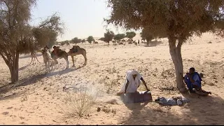 البادية متنفس الموريتانيين للترفيه والابتعاد عن ضوضاء المدينة 