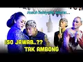 Download Lagu Percil Lusi Brahman Pilih Tak Ambung opo di kapakne