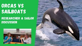 EP 53 Orca interview special   HD 1080p