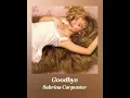 Download Lagu Goodbye - Sabrina Carpenter (unreleased) 