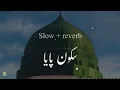Download Lagu Sakoon Paya | سکون پایا | Slow + Reverb | Best Naat Heart Touching