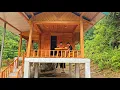 Download Lagu My son and I made a wooden house for the newborn kittens | Chuc Thi Hong