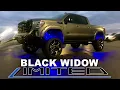 Limited Edition Lifted Truck 2020 GMC Sierra Black Widow 4x4 Dave Arbogast Lifted Trucks G14260