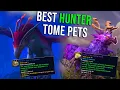 Every Hunter Pet Taming Tome and The Best Pets to Get With Them - WoW