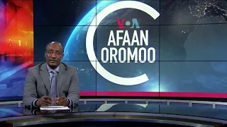 Tamsaasa Guyaadhaa Guyyaa 