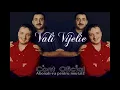 Vali Vijelie cu Adrian Minune si Costi - Plecat departe