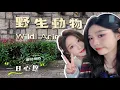 Download Lagu SNH48 GROUP最佳拍档第三季•一日心愿达成！SNH48-王奕 、SNH48-周诗雨 带你打卡上海野生动物园，开启一日集邮~