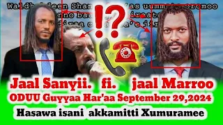 Jaal Sanyii Fi Jaal Marroo Hasawa Isani September 29 2024 Akkamitti Xumuramee 