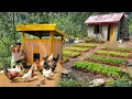 Download Lagu Wealthy CEO Leaves the City for the Forest: Builds a Chicken Coop and Cooks Amid Nature