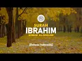 Download Lagu Surah Ibrahim - Ahmad Al-Shalabi [ 014 ] I Bacaan Quran Merdu