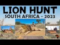 Download Lagu Hunting Lion in Africa with Mabula Pro Safaris, 2023