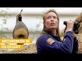 Download Lagu Dieren voeren en vogels zoeken in de Desert | Burgers' Zoo achter de schermen