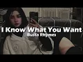Download Lagu Busta Rhymes, Mariah Carey - I Know What You Want (Lyrics) feat. The Flipmode Squad