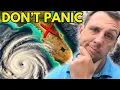 The Truth About Hurricanes in Gainesville Fl Helene and Milton Aftermath