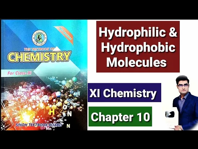 Hydrophilic & Hydrophobic Molecules (XI Chemistry)