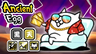 Battle Cats Tycoon Cat New Ancient Egg 15 5 Review
