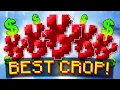 THE BEST CROP FOR MONEY IN HYPIXEL SKYBLOCK