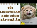Lagu [Truyện Audio ] [FULL] TÔI LIVESTREAM GIÚP CẢNH SÁT PHÁ ÁN || Sora Bé Bỏng
