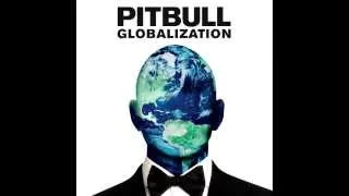 pitbull time of our lives feat ne yo globalization 