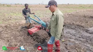 Thế Nhân || Những Thửa Ruộng Mơ Ước Đang Dần Được Hình Thành Nhờ Sự Trợ Giúp Đắc Lực Từ “Trâu Sắt”.
