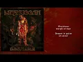 Download Lagu Meshuggah - God He Sees In Mirrors (Lyric Video)