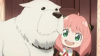 جاسوس بيطلب منه يكون عائلة في 7 ايام للقيام بأخطر مهمة ملخص انمي Spy X Family الموسم الثاني 6 