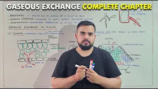 Class 10th Chapter # 1 Gaseous Exchange (One shot lecture)