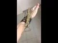 Download Lagu Giant Stick Insect