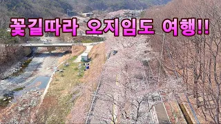 문수산 오지임도에 웬 많은 사람들이 //보경사에서 고은사 연결임도//오지산골 임도여행!! 썸네일