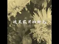 告五人&回春丹 - 披星戴月的鮮花
