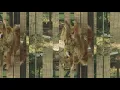 Amtrac - Stratego (Mindchatter Remix (Audio))