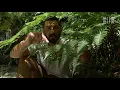 Download Lagu Conversas nos Jardins — Ivo Meco na Estufa Fria
