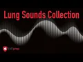 Lung Sounds Collection - EMTprep com